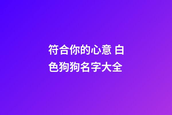 符合你的心意 白色狗狗名字大全